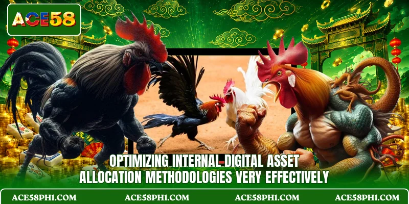 Optimizing internal digital asset allocation methodologies very effectively